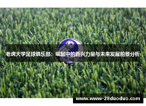 老虎大学足球俱乐部：崛起中的新兴力量与未来发展前景分析