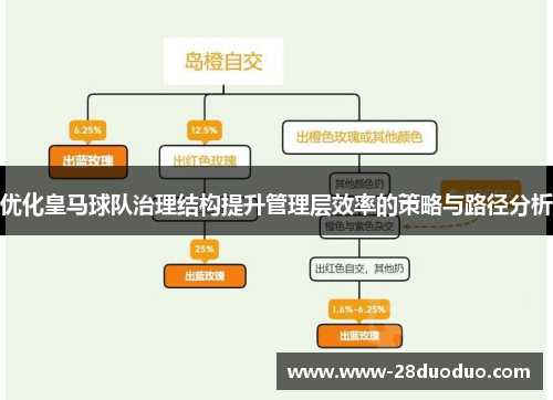优化皇马球队治理结构提升管理层效率的策略与路径分析