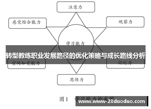 转型教练职业发展路径的优化策略与成长路线分析