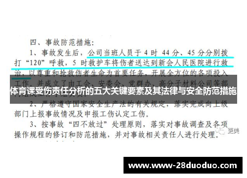 体育课受伤责任分析的五大关键要素及其法律与安全防范措施