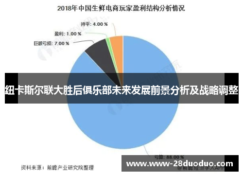 纽卡斯尔联大胜后俱乐部未来发展前景分析及战略调整