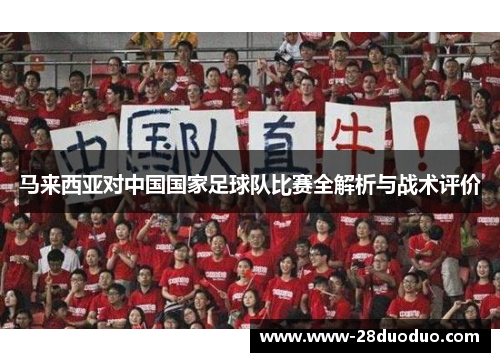 马来西亚对中国国家足球队比赛全解析与战术评价